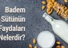 Veganların Vazgeçilmezi Badem Sütü Evde Nasıl Yapılır? Badem Sütünün Faydaları Nelerdir
